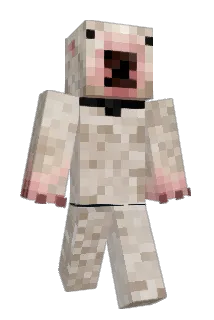 PaintTheCraft Minecraft avatar full body