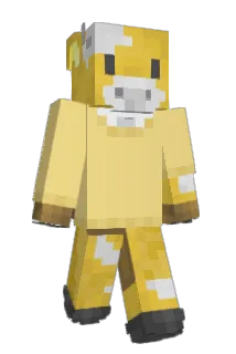 Paintlid Minecraft avatar full body
