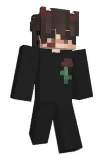 Paised Minecraft avatar full body