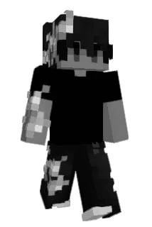Paiva311 Minecraft avatar full body