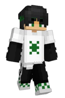 Paixoo Minecraft avatar full body