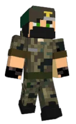 Custom render preview