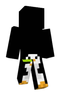 Paknoda22 Minecraft avatar full body