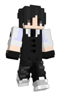Pako9797 Minecraft avatar full body