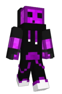 Paladin466 Minecraft avatar full body