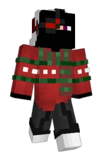 PaladinDec Minecraft avatar full body
