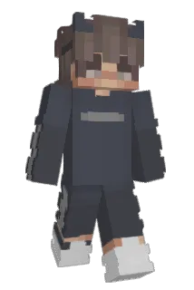 Paladinight Minecraft avatar full body