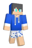 Paladys Minecraft avatar full body