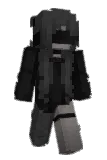 Palander Minecraft avatar full body