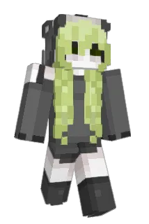 PaliLev Minecraft avatar full body