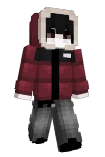 PalidinX Minecraft avatar full body