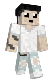 Palinko1337 Minecraft avatar full body