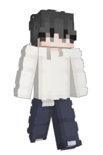 Pallojax Minecraft avatar full body