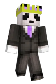 Palshock Minecraft avatar full body