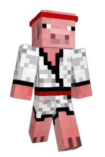 Pamarian Minecraft avatar full body
