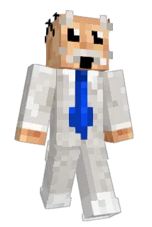 PanGato Minecraft avatar full body