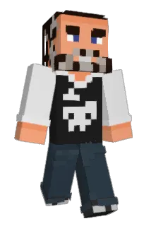 PanZerF1L Minecraft avatar full body