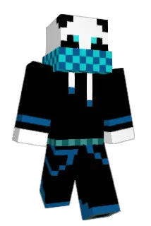 Panda295 Minecraft avatar full body