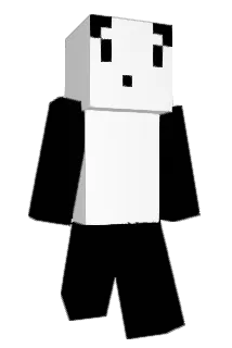 Panda42o69 Minecraft avatar full body