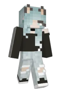Panda664 Minecraft avatar full body