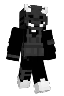 PandaBOY024_TTV Minecraft avatar full body