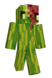 Panini09848 Minecraft avatar full body