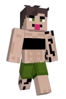 Pannoccia Minecraft avatar full body