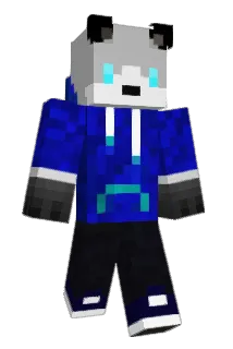 PansPT Minecraft avatar full body