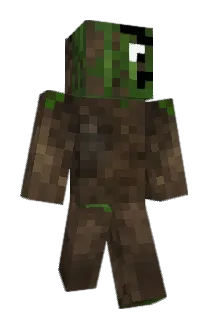 Pansensuppe Minecraft avatar full body