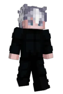 Pantherayden Minecraft avatar full body