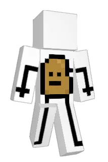 Paocombife Minecraft avatar full body