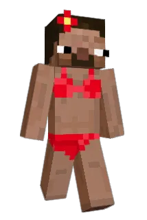 PapaNeeks Minecraft avatar full body