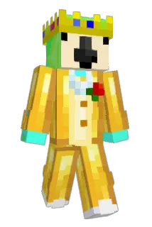 PapageiX2 Minecraft avatar full body