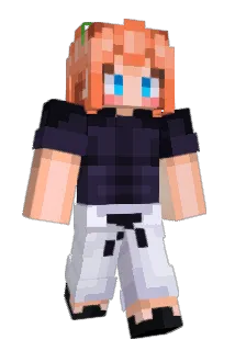 PapelLustre Minecraft avatar full body