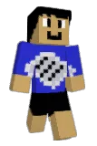 PaperBreaker Minecraft avatar full body