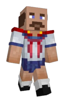 Paphase Minecraft avatar full body