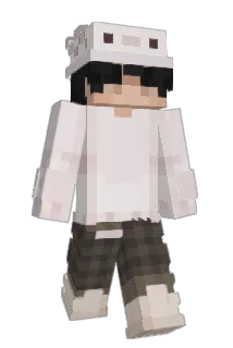 Papnn Minecraft avatar full body