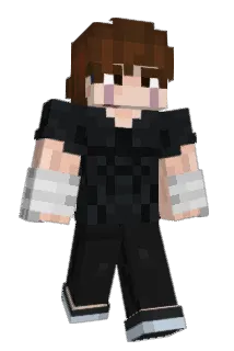 ParaOn144Hz Minecraft avatar full body