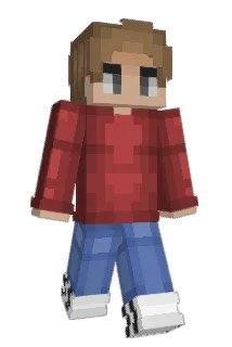 ParadoxTater Minecraft avatar full body