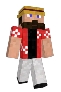 Paralaysis Minecraft avatar full body