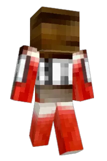 Paralycis Minecraft avatar full body
