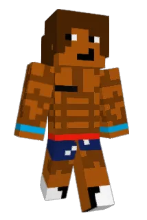 Pardhaan Minecraft avatar full body