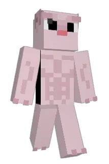 Parem Minecraft avatar full body