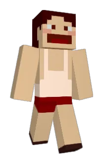 ParkOOOng Minecraft avatar full body