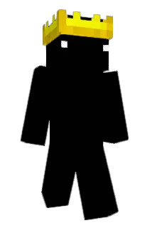 ParkrDubs Minecraft avatar full body
