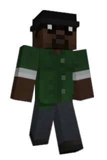 Parmacel Minecraft avatar full body