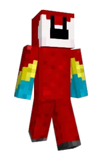 ParrotPirate Minecraft avatar full body