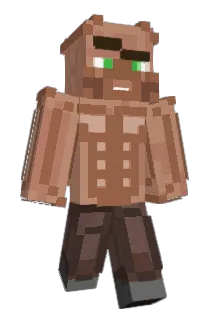 ParrotsX2 Minecraft avatar full body
