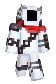 ParrottX2 Minecraft avatar full body