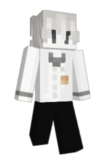 Participle Minecraft avatar full body